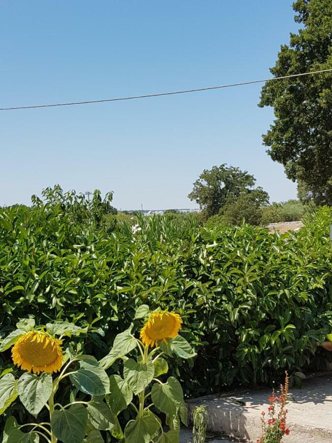 Trulli Della Masseria Staffone Alberobello Kültér fotó